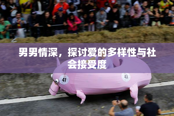 男男情深，探讨爱的多样性与社会接受度