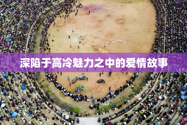 深陷于高冷魅力之中的爱情故事