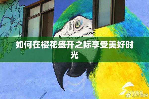 如何在樱花盛开之际享受美好时光