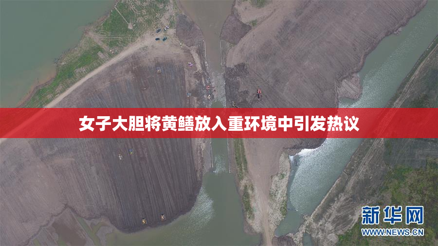 女子大胆将黄鳝放入重环境中引发热议