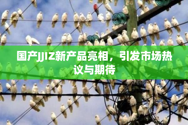 国产JJIZ新产品亮相，引发市场热议与期待
