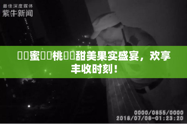 ❌‌蜜❌‌桃❌‌甜美果实盛宴，欢享丰收时刻！