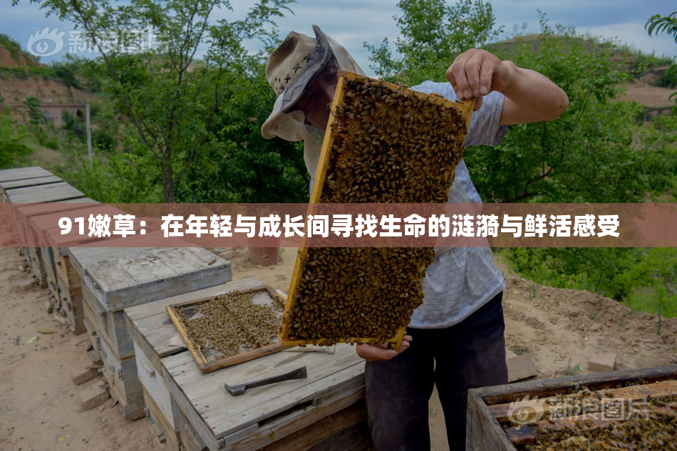 91嫩草：在年轻与成长间寻找生命的涟漪与鲜活感受