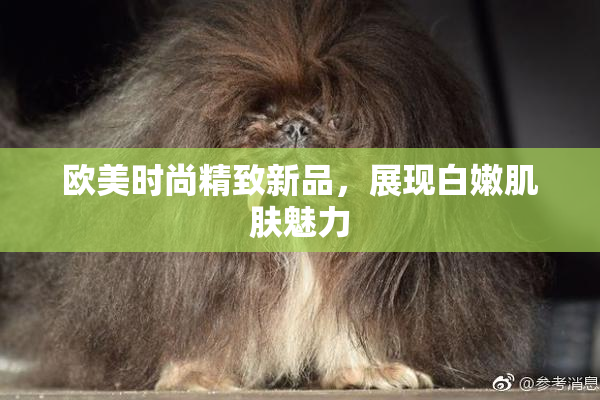 欧美时尚精致新品，展现白嫩肌肤魅力