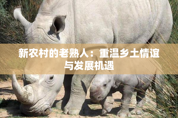 新农村的老熟人：重温乡土情谊与发展机遇