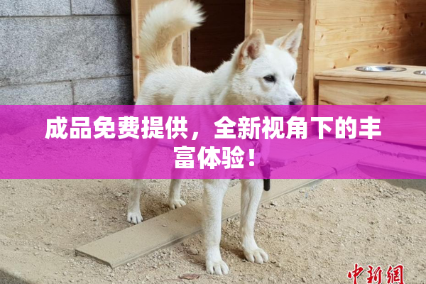 成品免费提供，全新视角下的丰富体验！
