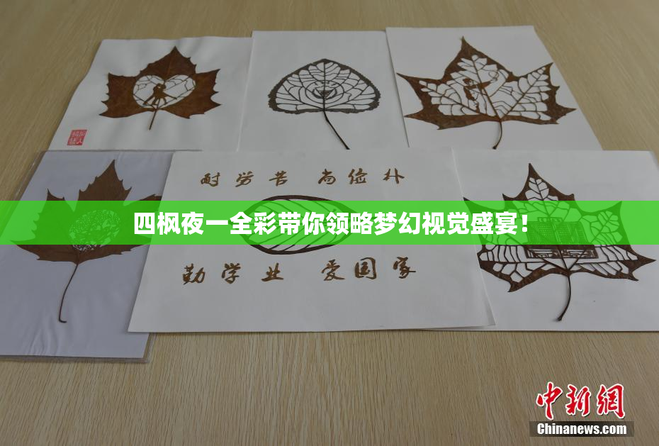 四枫夜一全彩带你领略梦幻视觉盛宴！