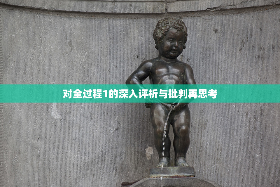 对全过程1的深入评析与批判再思考
