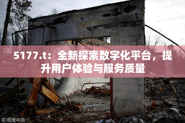 5177.t：全新探索数字化平台，提升用户体验与服务质量