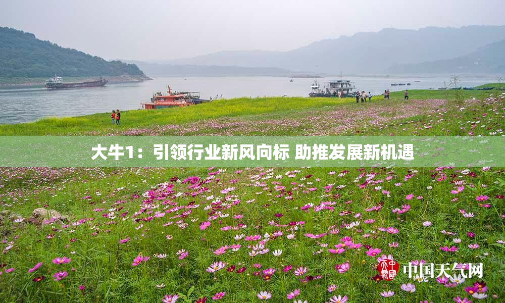 大牛1：引领行业新风向标 助推发展新机遇