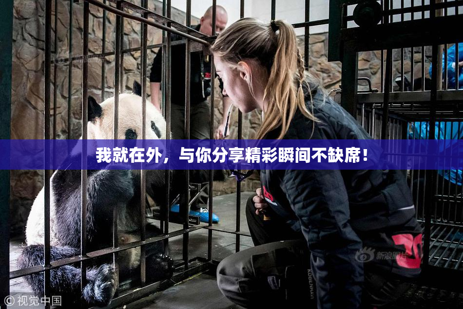 我就在外，与你分享精彩瞬间不缺席！