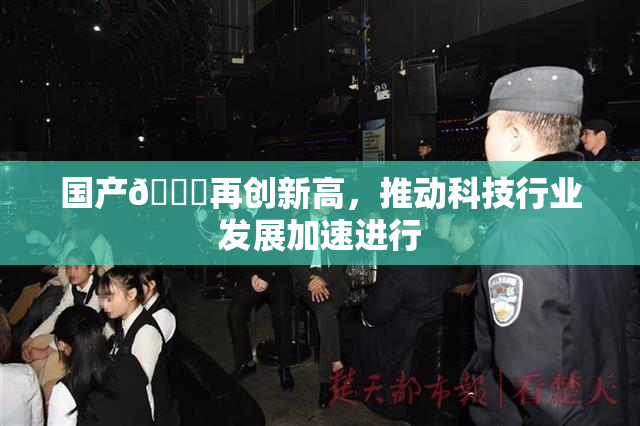 国产🔞再创新高，推动科技行业发展加速进行