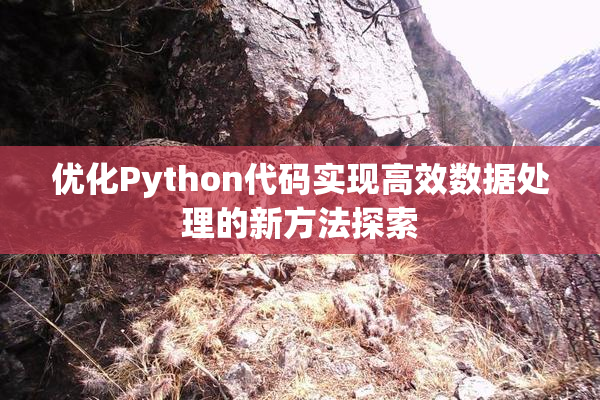 优化Python代码实现高效数据处理的新方法探索