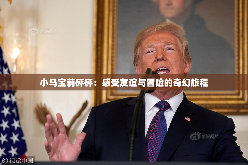小马宝莉砰砰：感受友谊与冒险的奇幻旅程