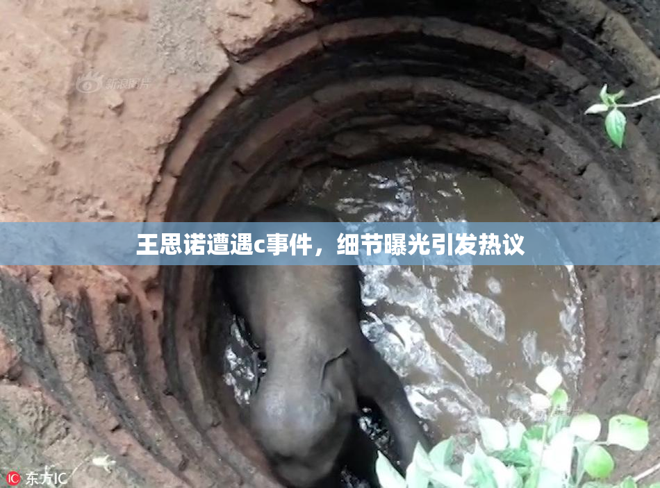 王思诺遭遇c事件，细节曝光引发热议