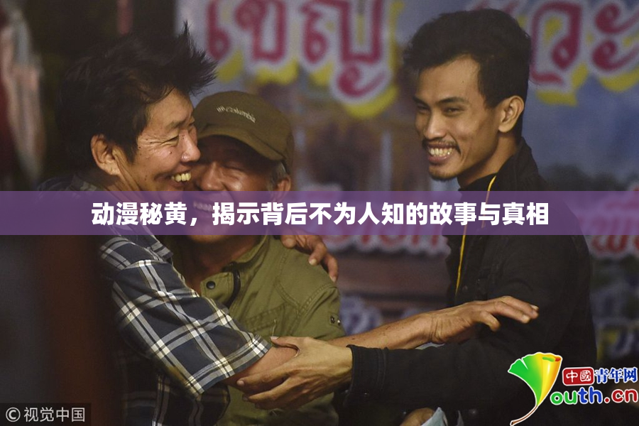 动漫秘黄，揭示背后不为人知的故事与真相
