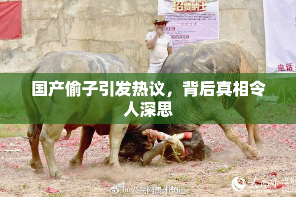 国产偷子引发热议，背后真相令人深思