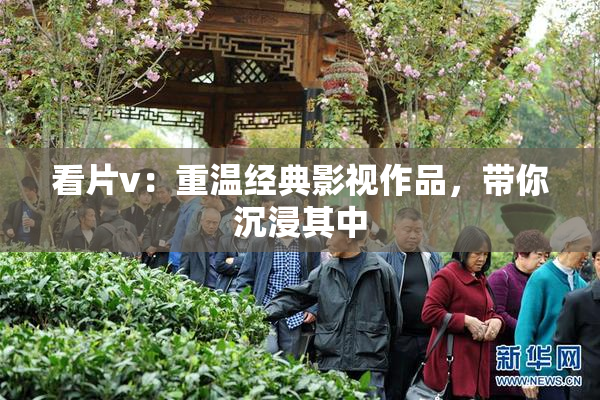 看片v：重温经典影视作品，带你沉浸其中