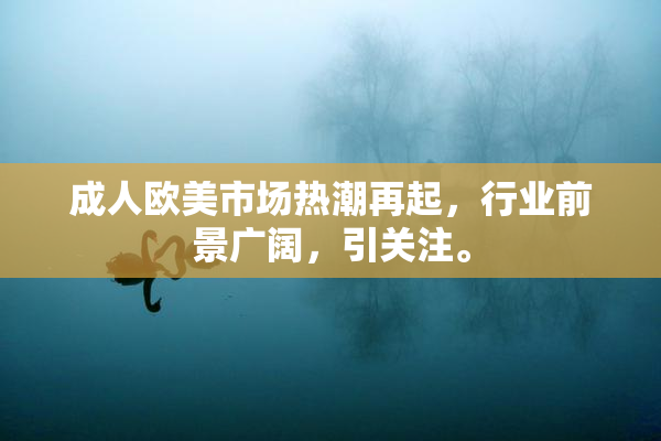 成人欧美市场热潮再起，行业前景广阔，引关注。