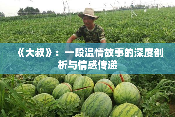 《大叔》：一段温情故事的深度剖析与情感传递