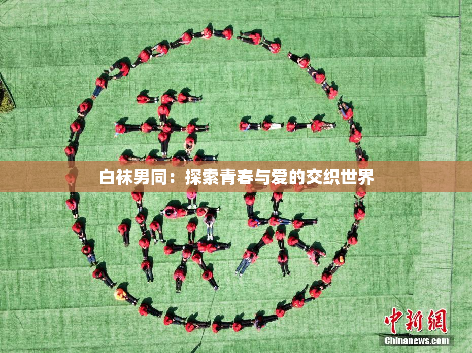 白袜男同：探索青春与爱的交织世界