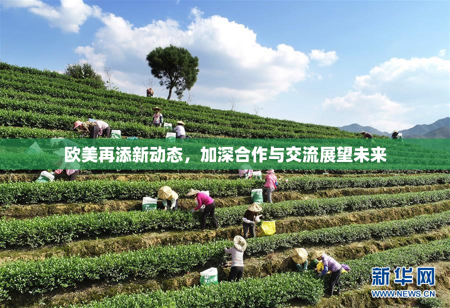欧美再添新动态，加深合作与交流展望未来