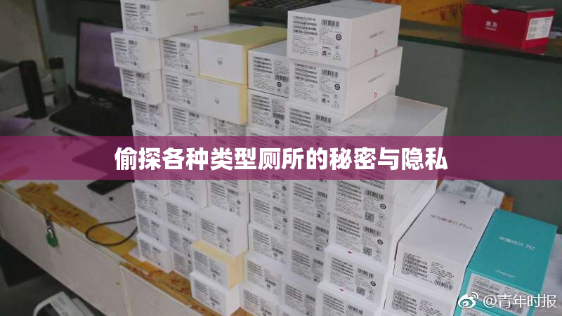 偷探各种类型厕所的秘密与隐私