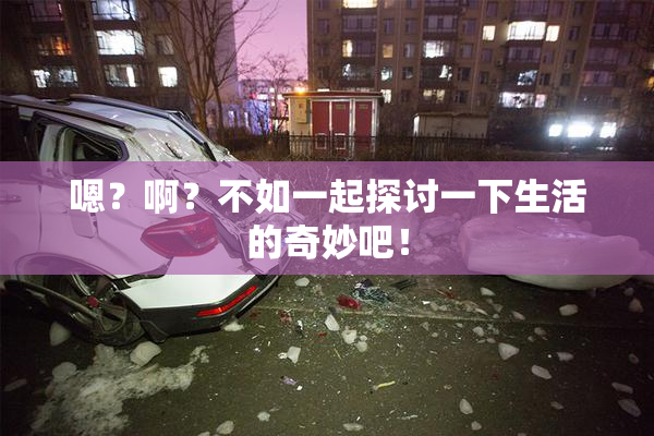 嗯？啊？不如一起探讨一下生活的奇妙吧！