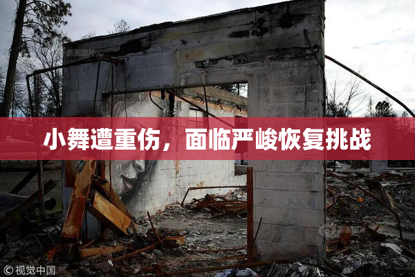 小舞遭重伤，面临严峻恢复挑战