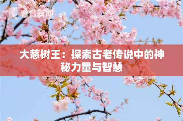 大慈树王：探索古老传说中的神秘力量与智慧