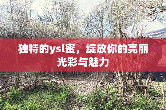 独特的ysl蜜，绽放你的亮丽光彩与魅力