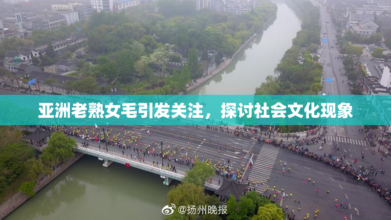 亚洲老熟女毛引发关注，探讨社会文化现象