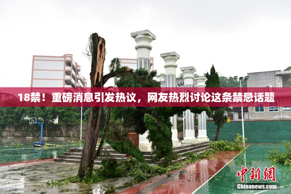 18禁！重磅消息引发热议，网友热烈讨论这条禁忌话题