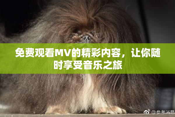 免费观看MV的精彩内容，让你随时享受音乐之旅