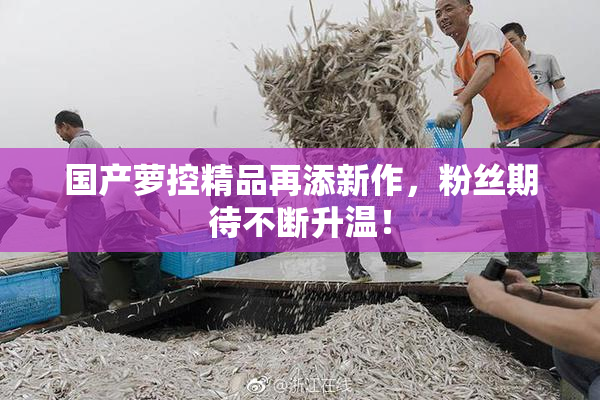 国产萝控精品再添新作，粉丝期待不断升温！