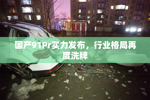 国产91Pr实力发布，行业格局再度洗牌