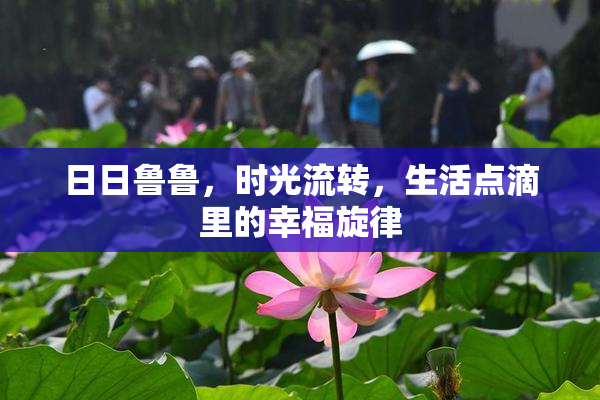 日日鲁鲁，时光流转，生活点滴里的幸福旋律