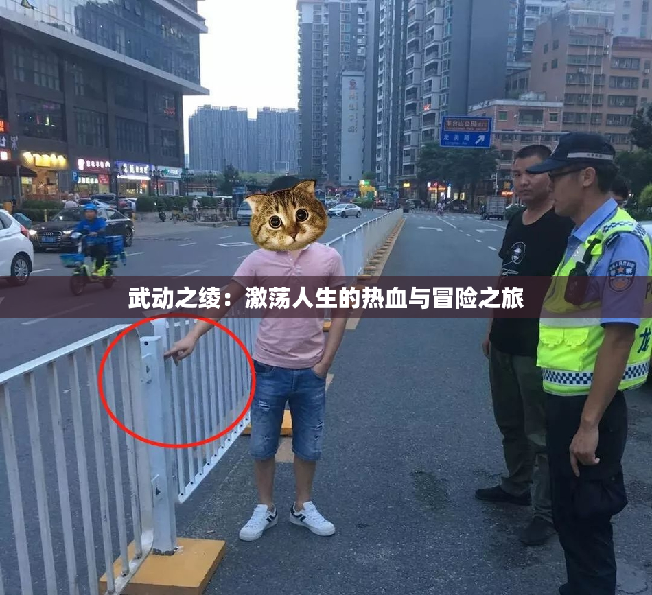 武动之绫：激荡人生的热血与冒险之旅