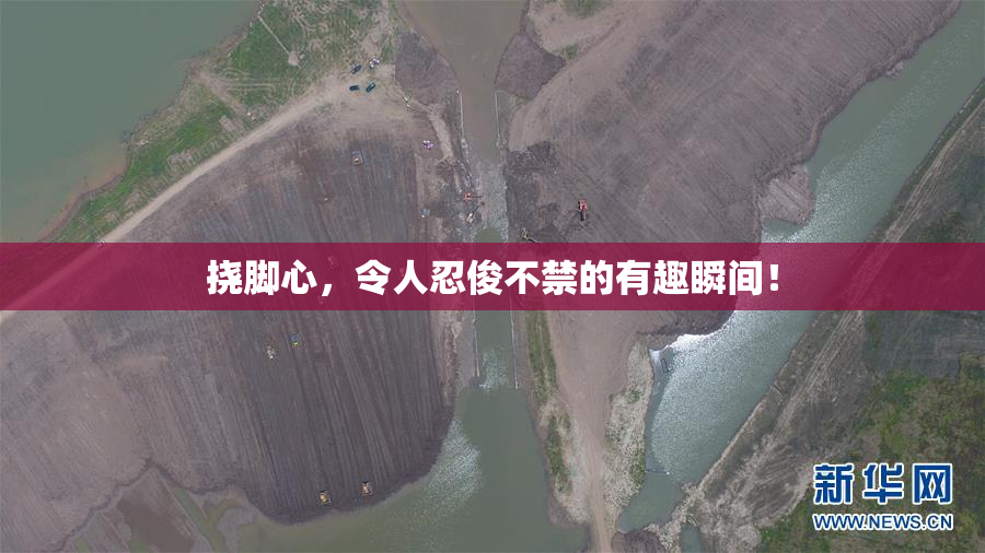 挠脚心，令人忍俊不禁的有趣瞬间！