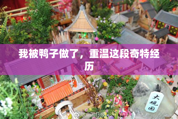 我被鸭子做了，重温这段奇特经历