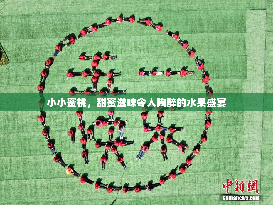 小小蜜桃，甜蜜滋味令人陶醉的水果盛宴