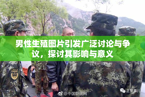 男性生殖图片引发广泛讨论与争议，探讨其影响与意义