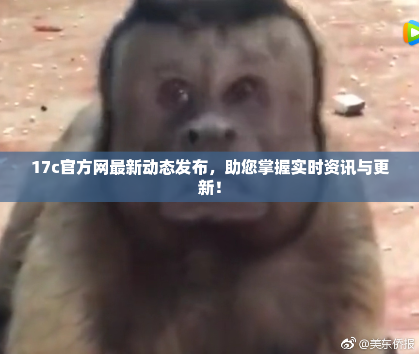 17c官方网最新动态发布，助您掌握实时资讯与更新！
