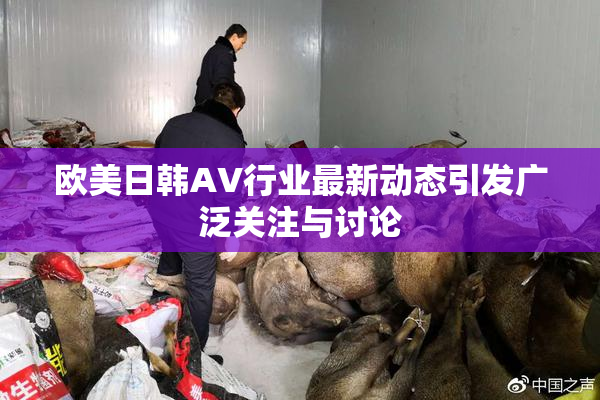 欧美日韩AV行业最新动态引发广泛关注与讨论