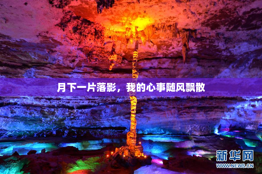 月下一片落影，我的心事随风飘散