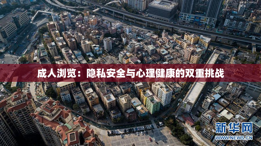 成人浏览：隐私安全与心理健康的双重挑战