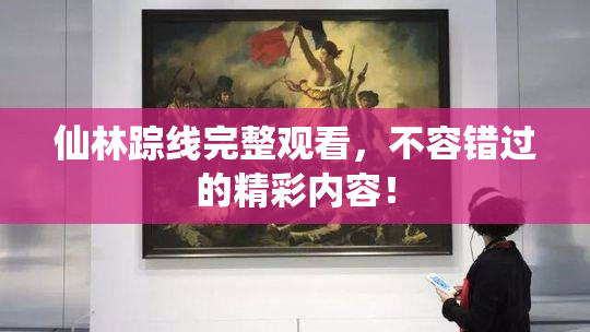 仙林踪线完整观看，不容错过的精彩内容！
