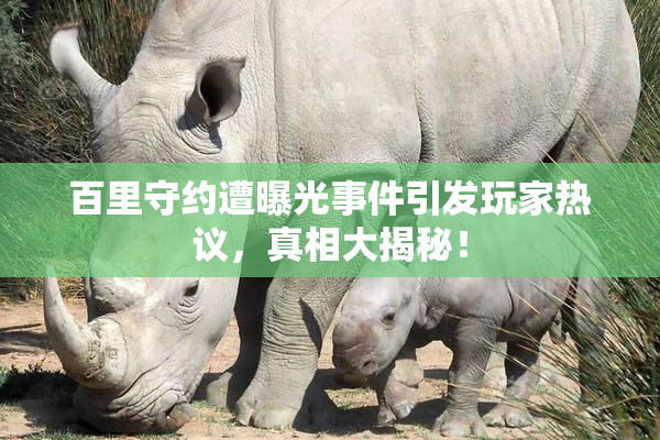 百里守约遭曝光事件引发玩家热议，真相大揭秘！