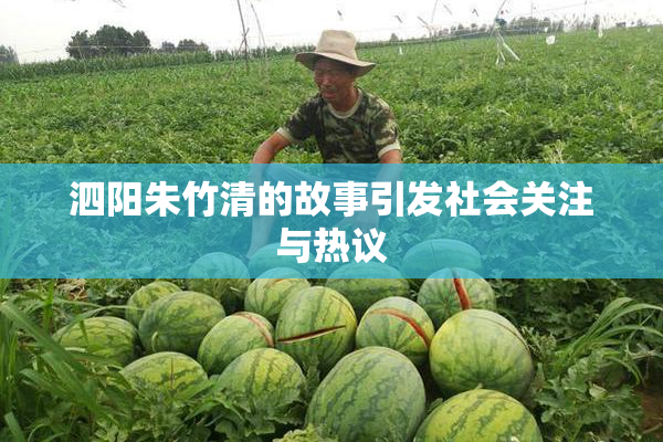 泗阳朱竹清的故事引发社会关注与热议