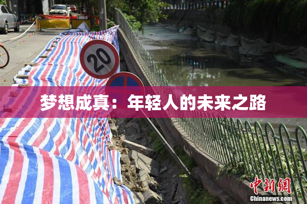 梦想成真：年轻人的未来之路